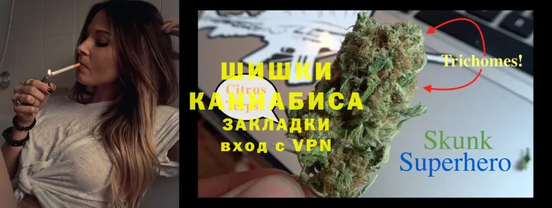 МАРИХУАНА SATIVA & INDICA  Голицыно 